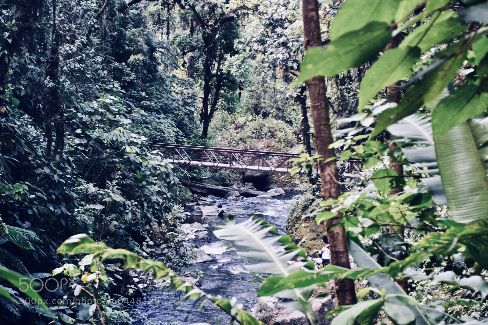 Nikon D3100 sample photo. A bridge to adventure photography