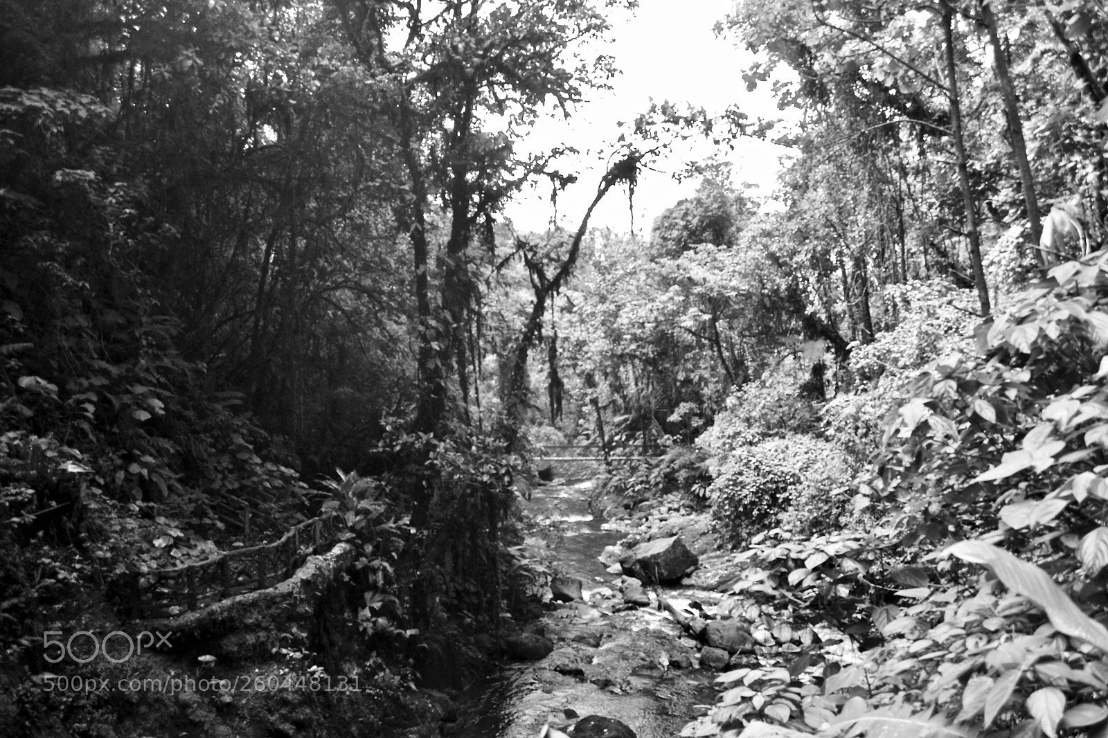 Nikon D3100 sample photo. Gloomy river photography