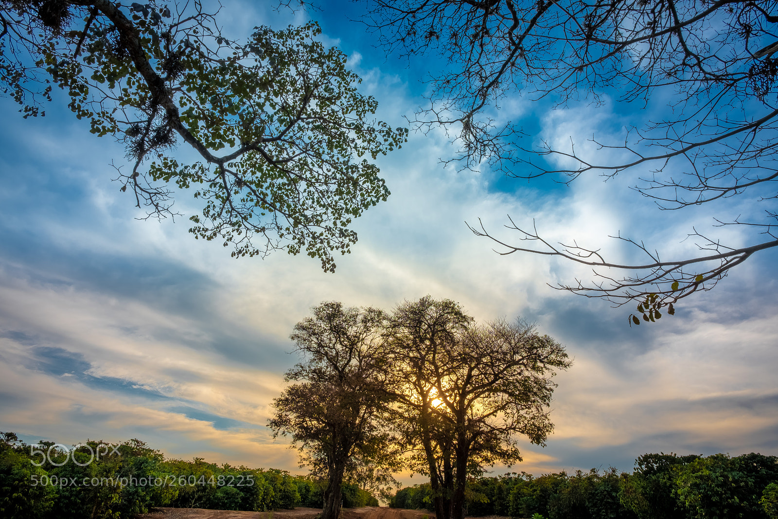 Fujifilm X-H1 sample photo. Sunsets photography