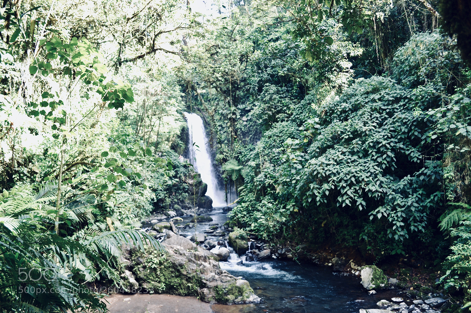Nikon D3100 sample photo. A place of serenity photography