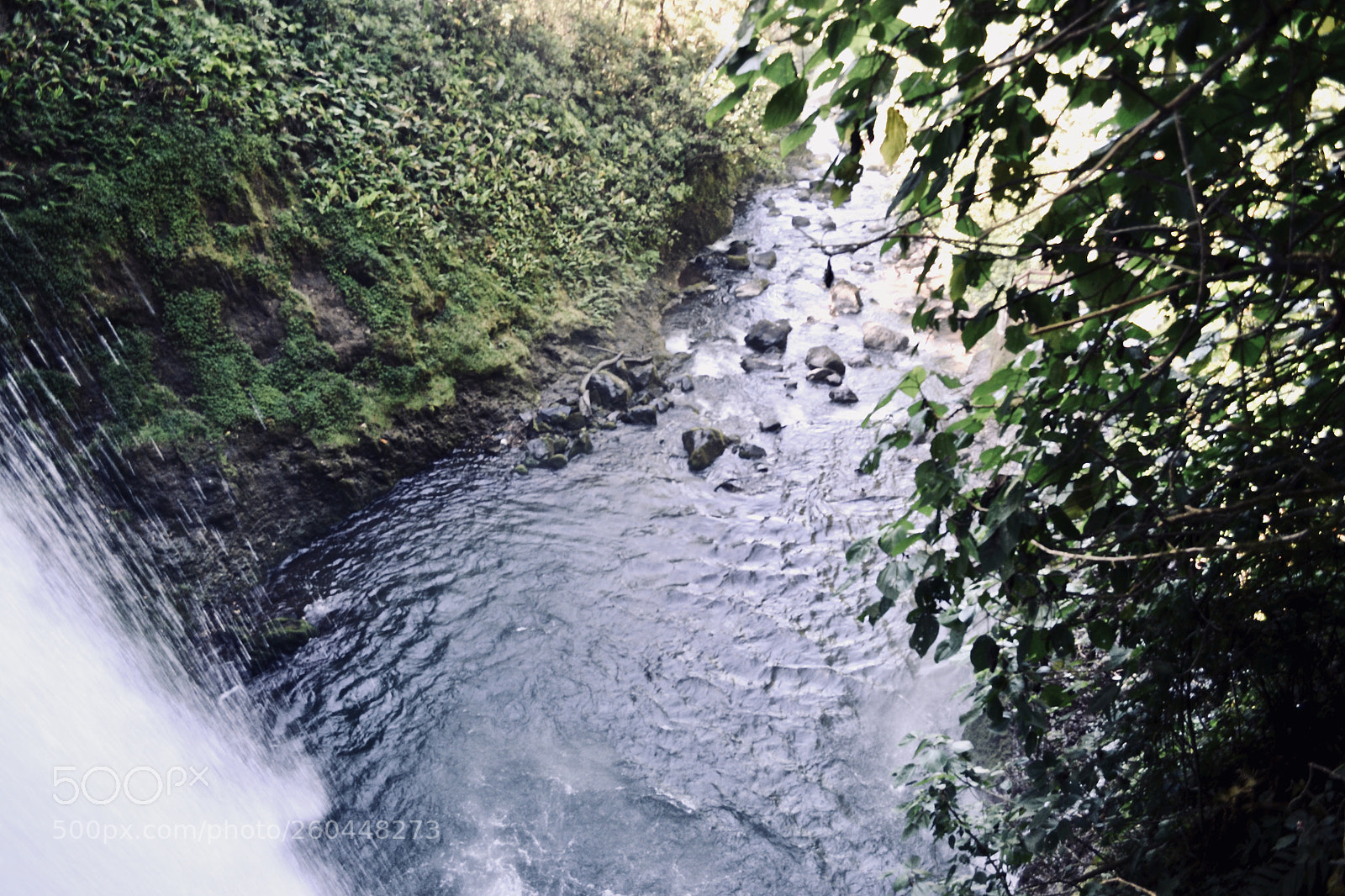 Nikon D3100 sample photo. Over the river photography