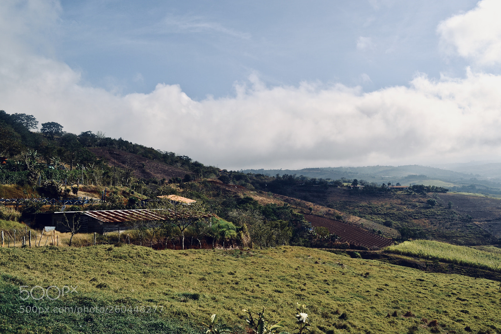 Nikon D3100 sample photo. The hillside photography