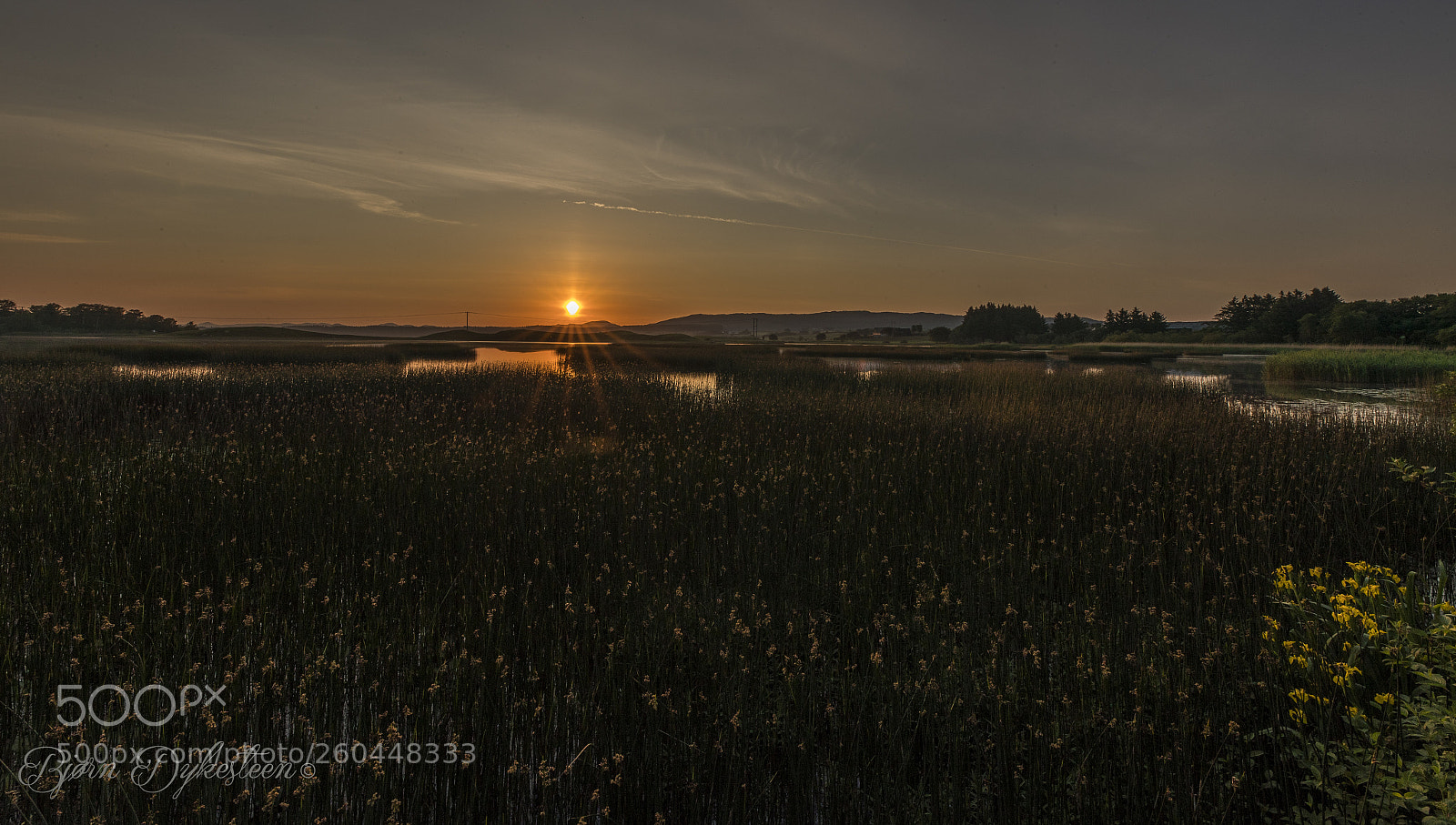 Canon EOS-1D X Mark II sample photo. Sunrise photography