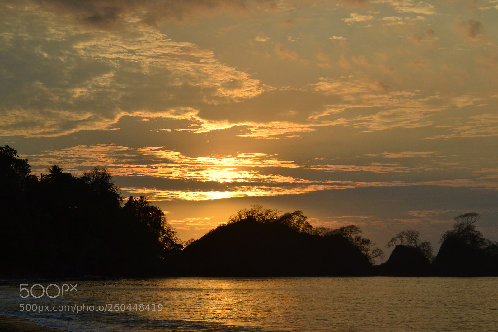 Nikon D3100 sample photo. Day is dying in photography