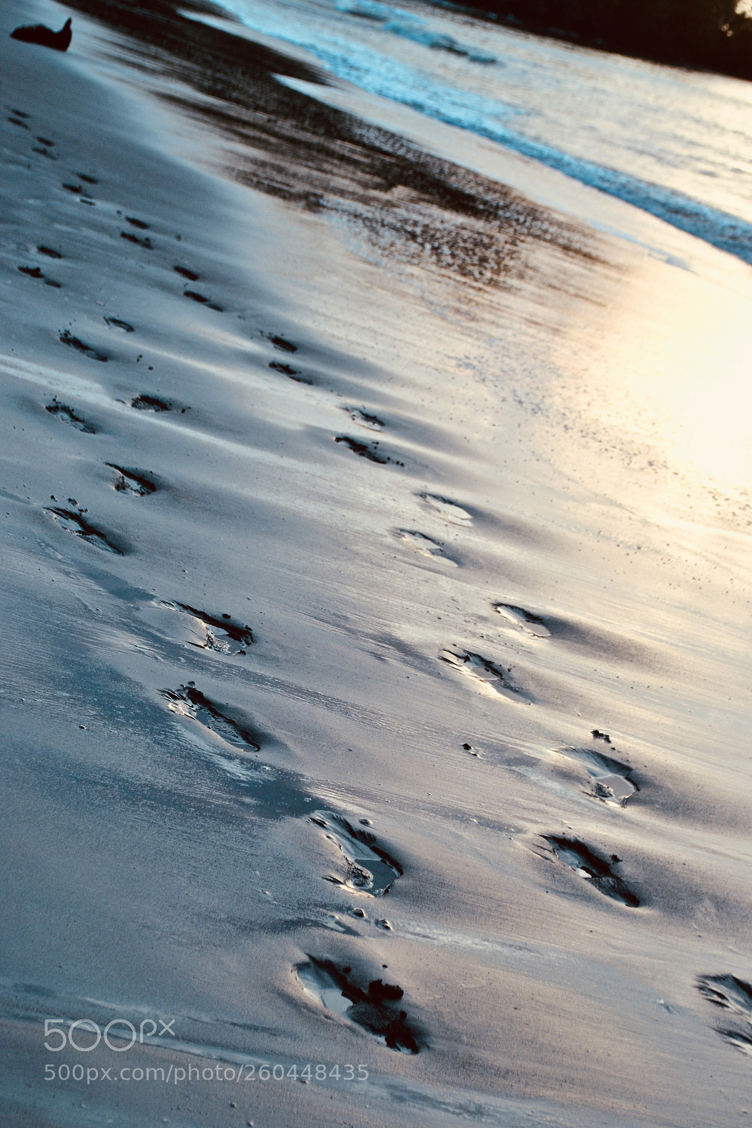 Nikon D3100 sample photo. Footprints in the sand photography
