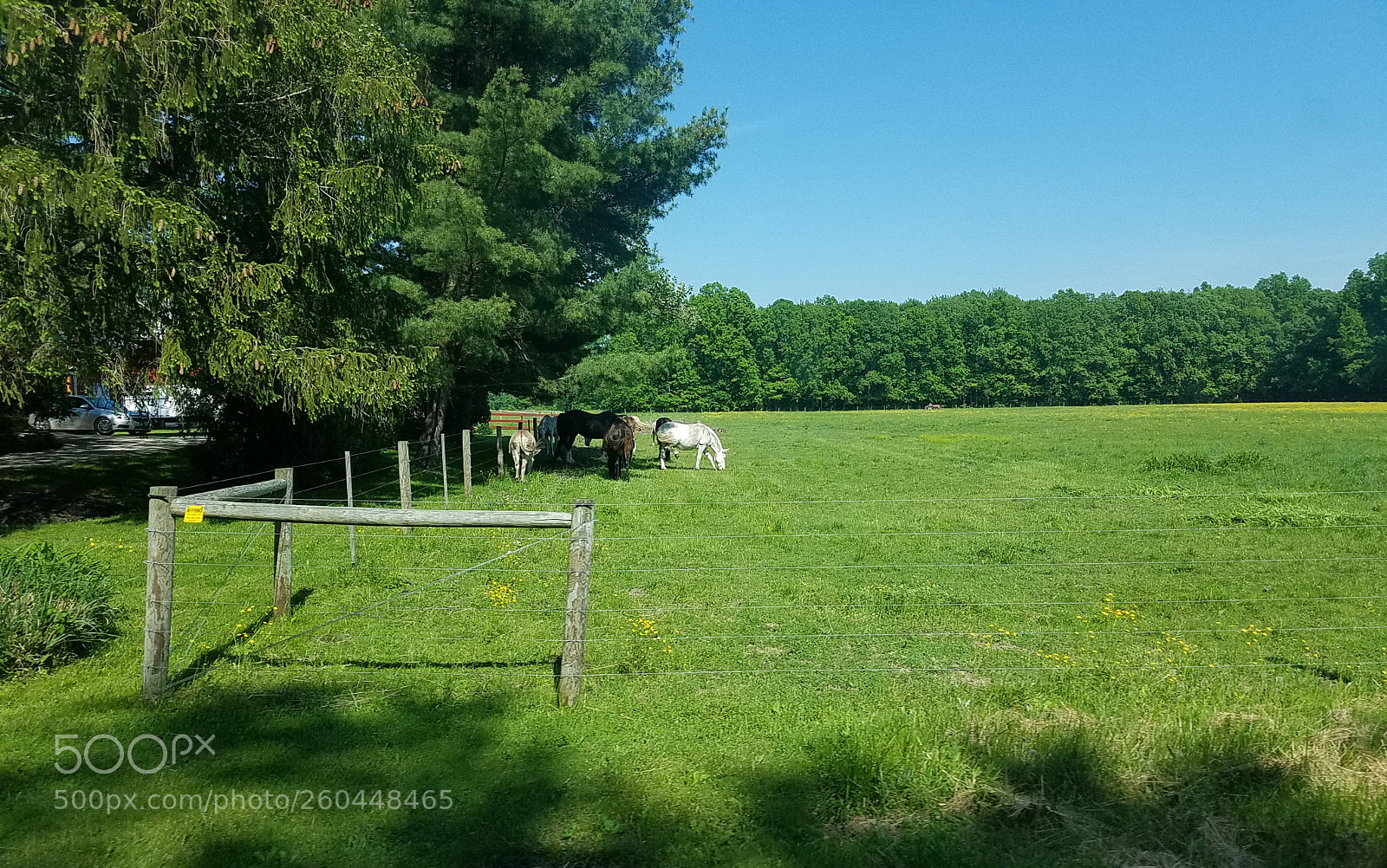 Samsung Galaxy S7 Edge sample photo. Untitled photography