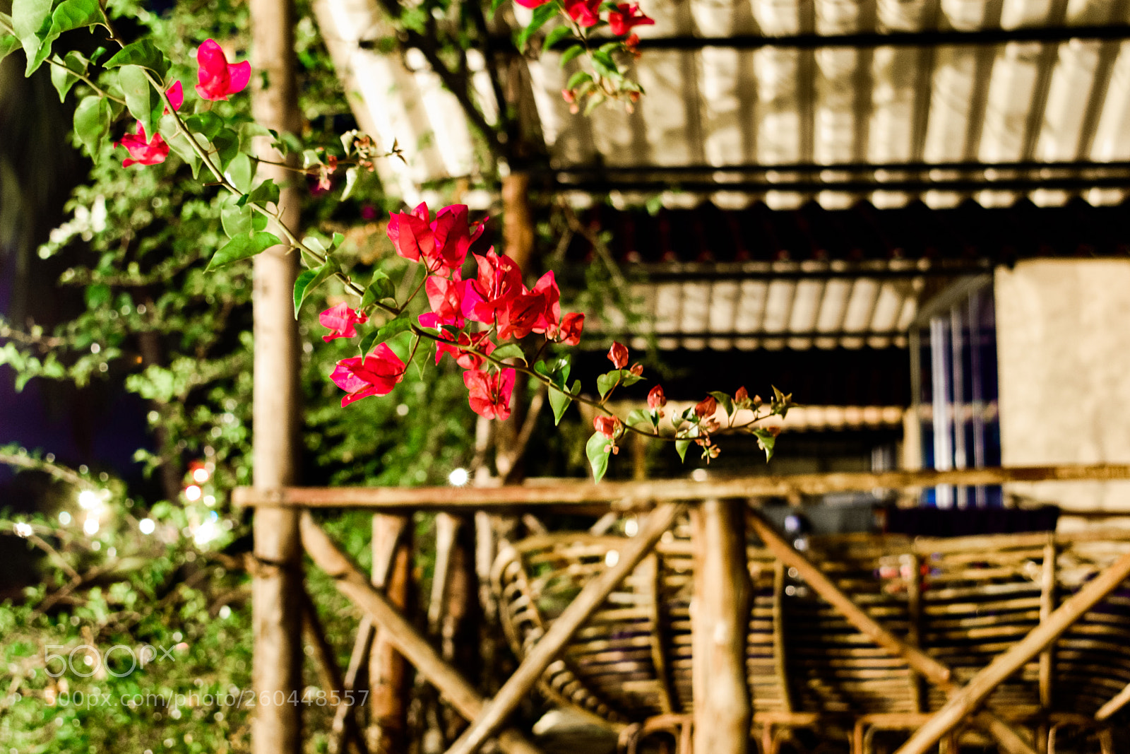 Nikon D5600 sample photo. Cambodia, island of koh photography