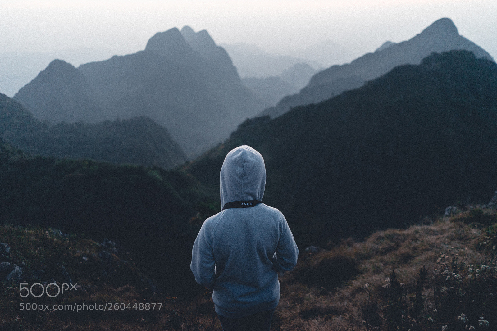 Sony a7 II sample photo. Alone photography