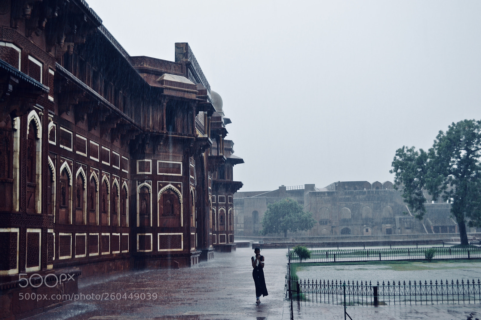 Nikon D3100 sample photo. In the rain photography