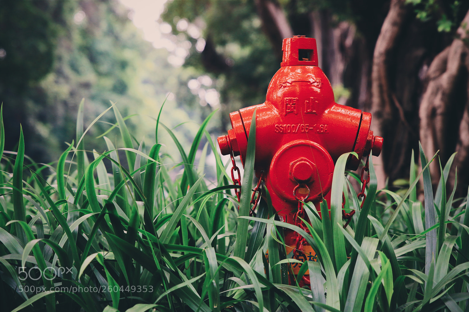 Canon EOS 80D sample photo. Untitled photography