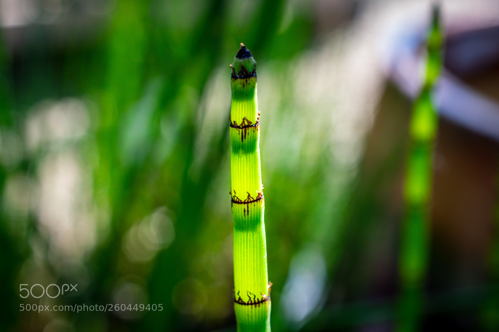Nikon D3300 sample photo. Untitled photography