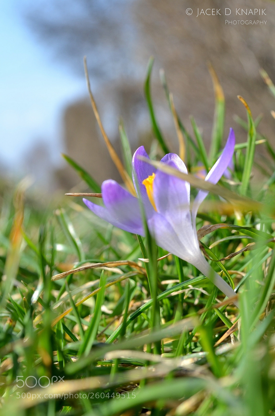 Nikon D5100 sample photo. G photography