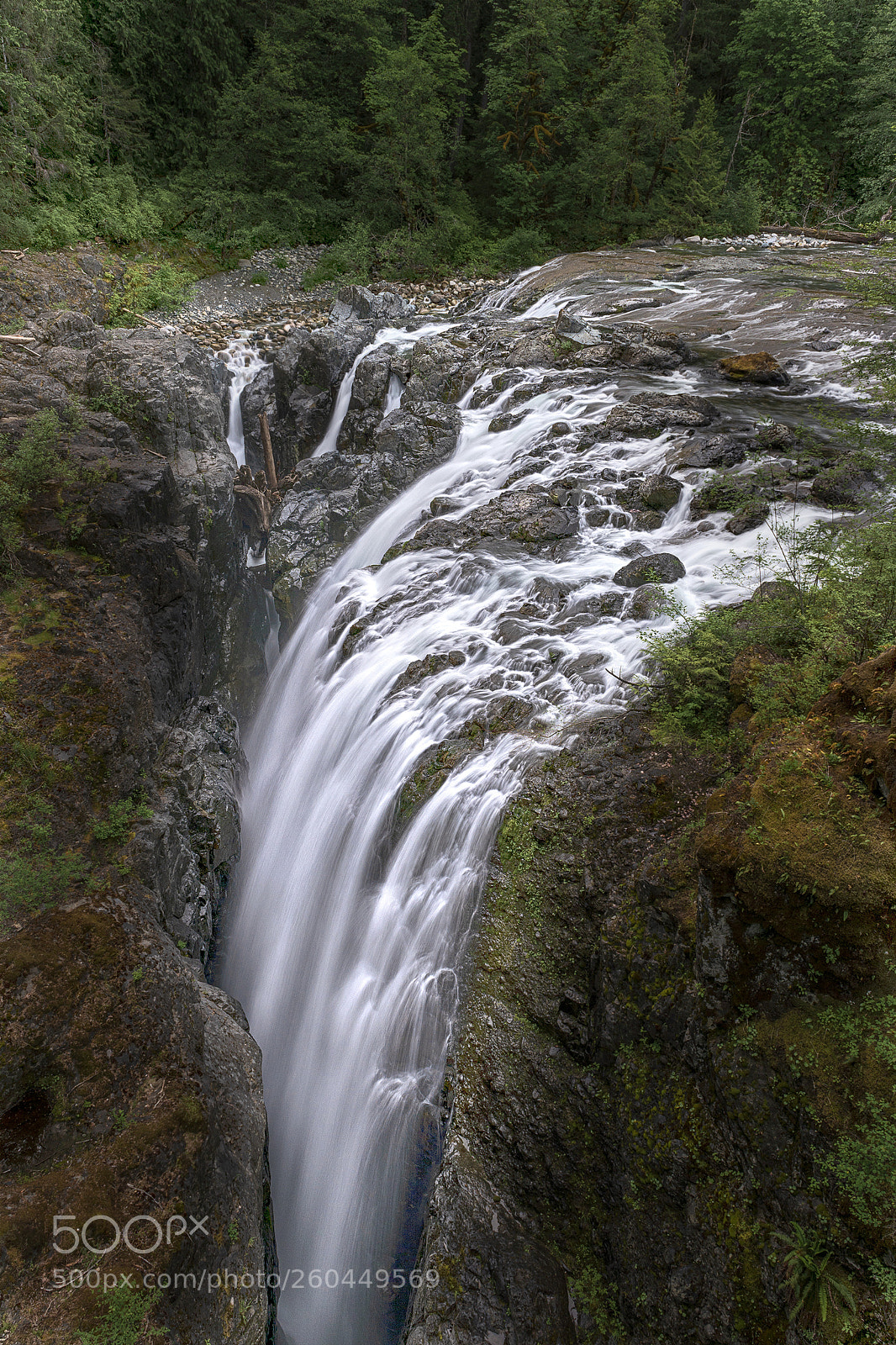 Nikon D610 sample photo. Englishman river falls photography