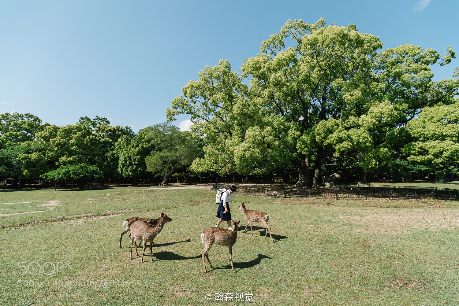 Sony a7R II sample photo. Nara photography