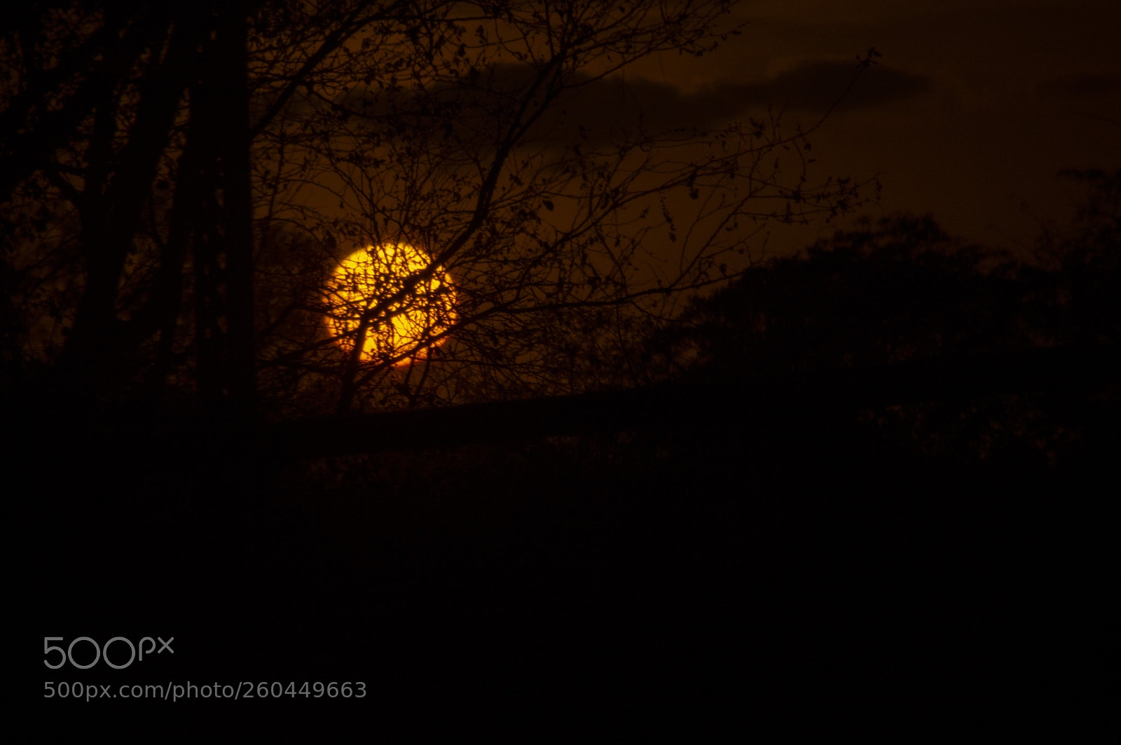Nikon D3200 sample photo. The sun is hiding. photography