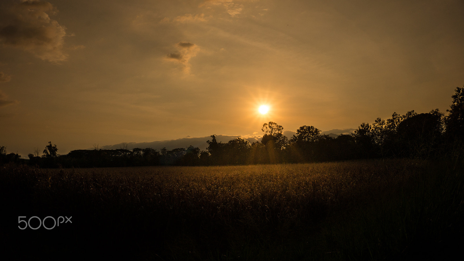 Sony Alpha a3500 sample photo. Sunset photography