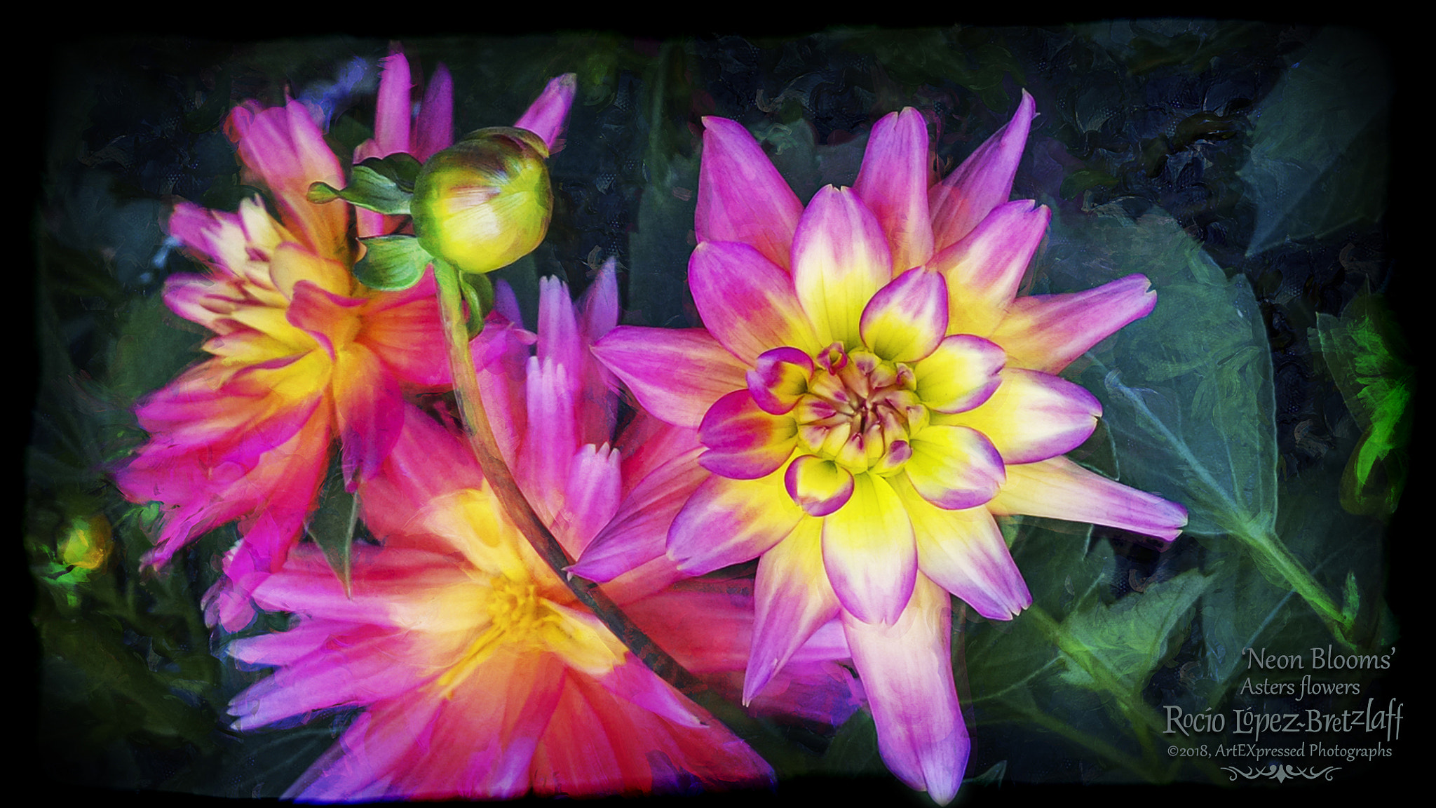 BlackBerry Z10 sample photo. Neon blooms photography