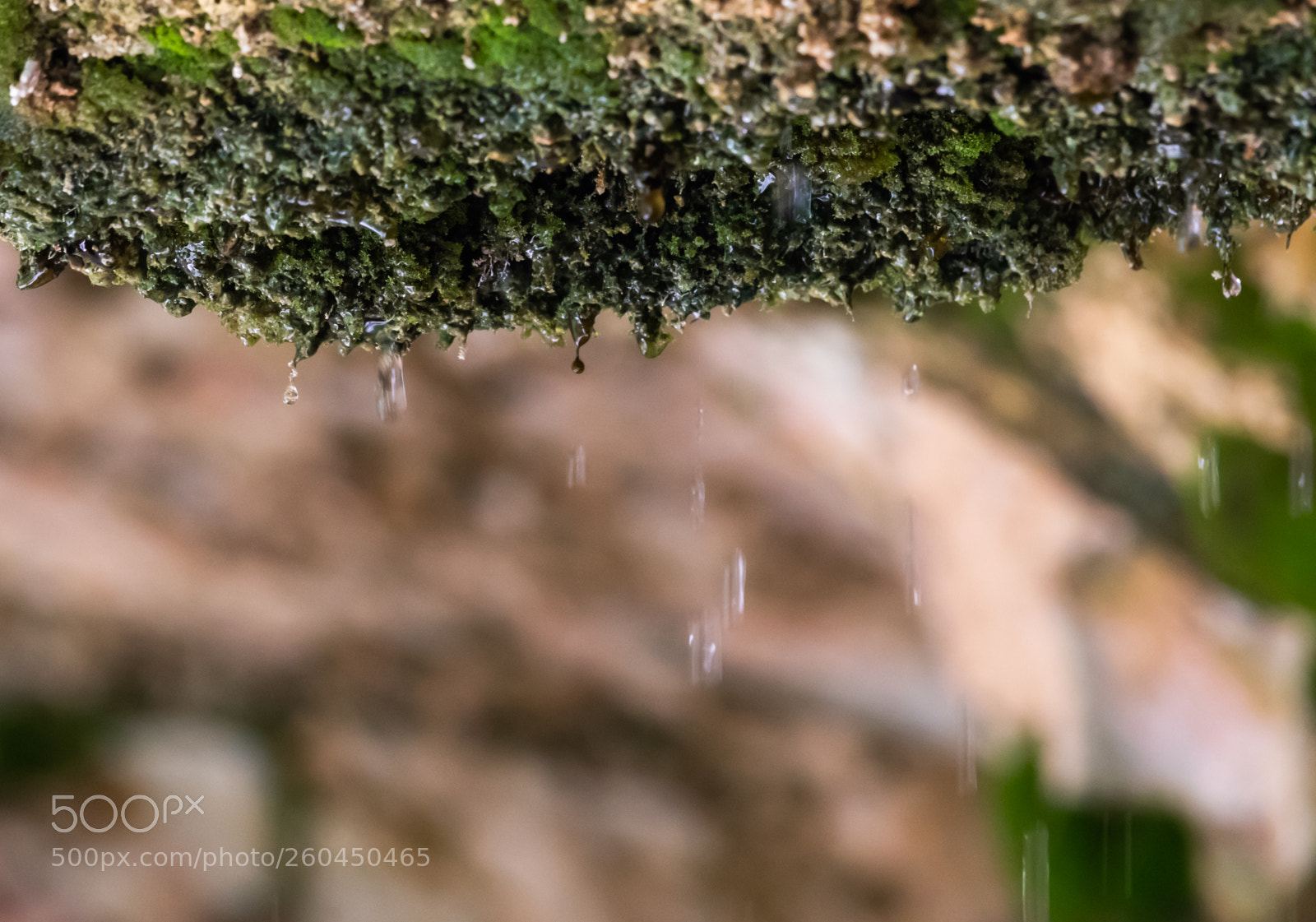 Canon EOS 80D sample photo. Tiny tiny waterfall photography