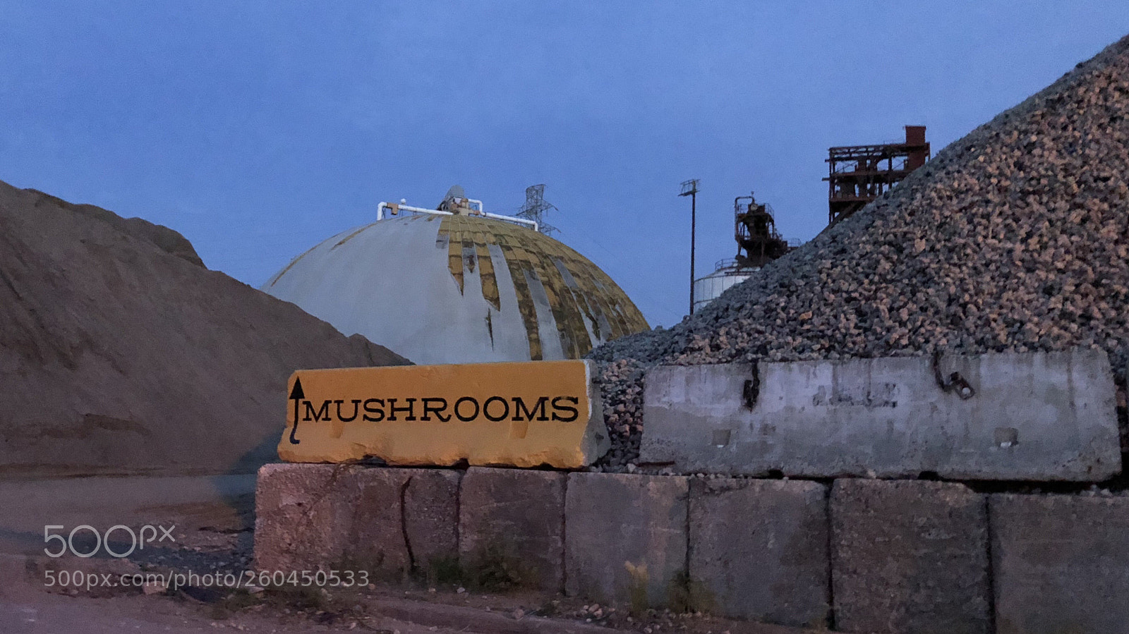 Apple iPhone 8 sample photo. Mushrooms photography