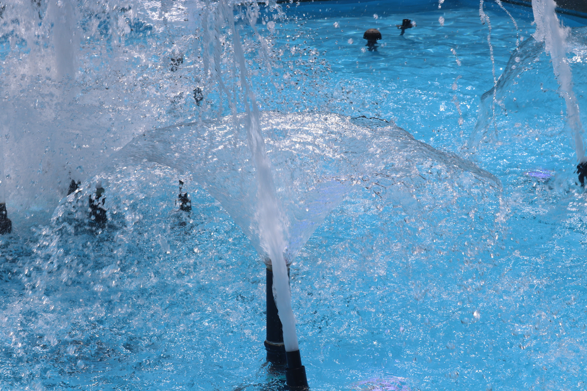 Canon EOS 80D sample photo. Water in air photography