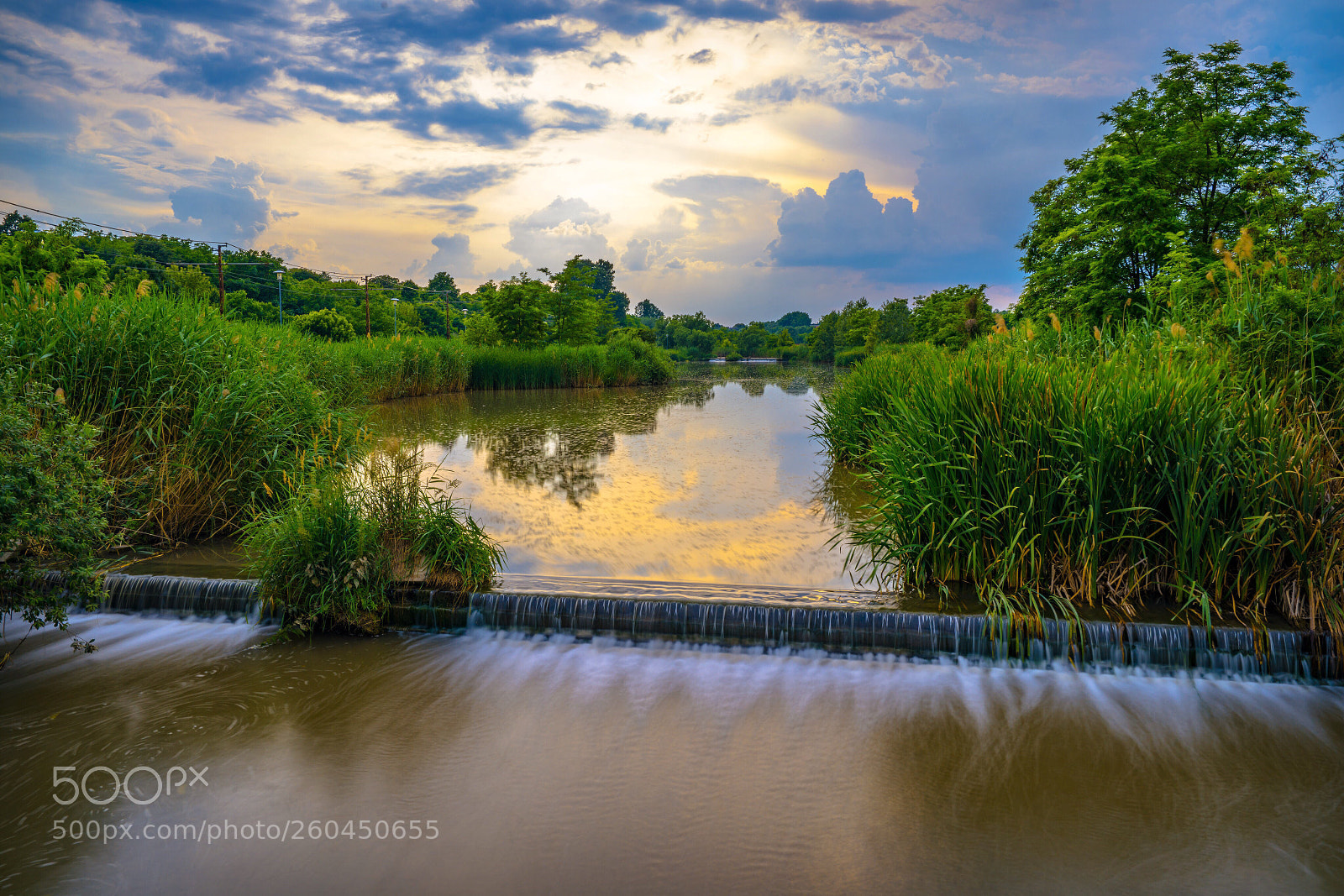 Sony a7R III sample photo. Natural beauty photography