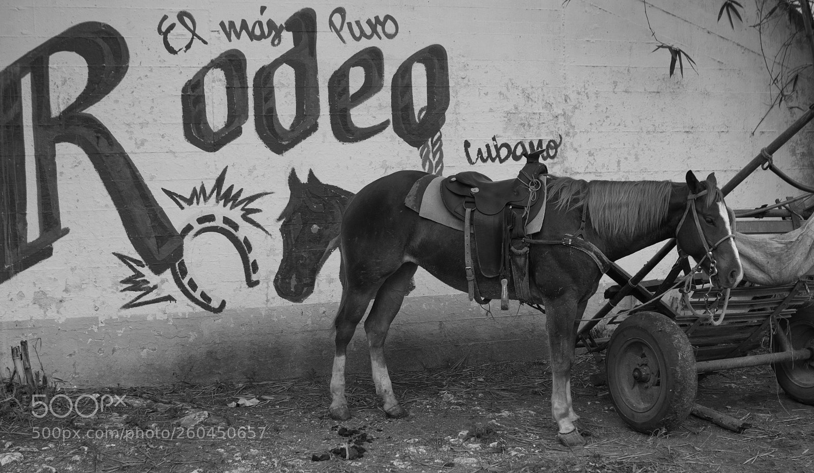 Canon EOS 7D sample photo. Western double photography