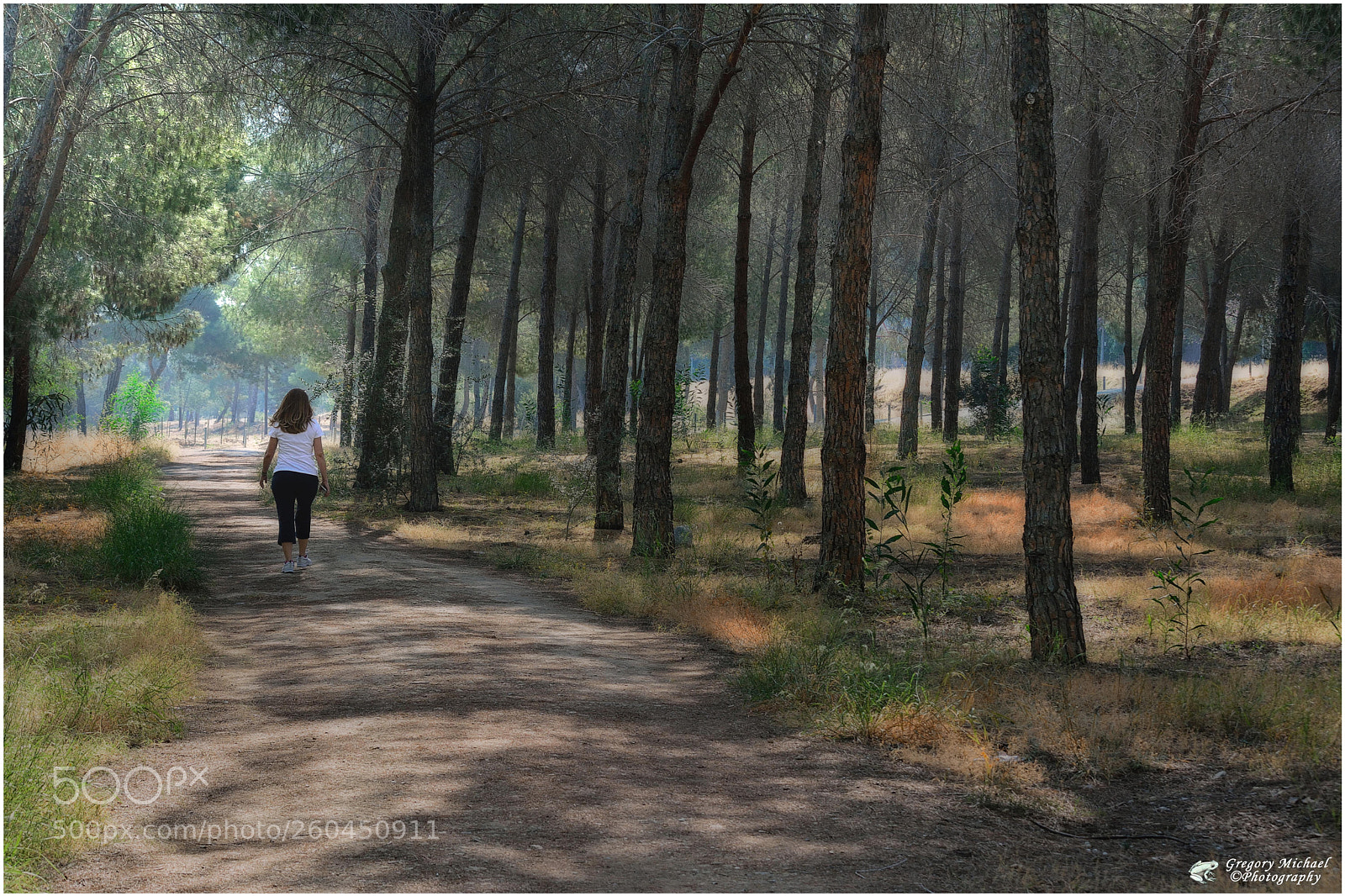 Nikon D7100 sample photo. Walking in nature  ! ! ! photography