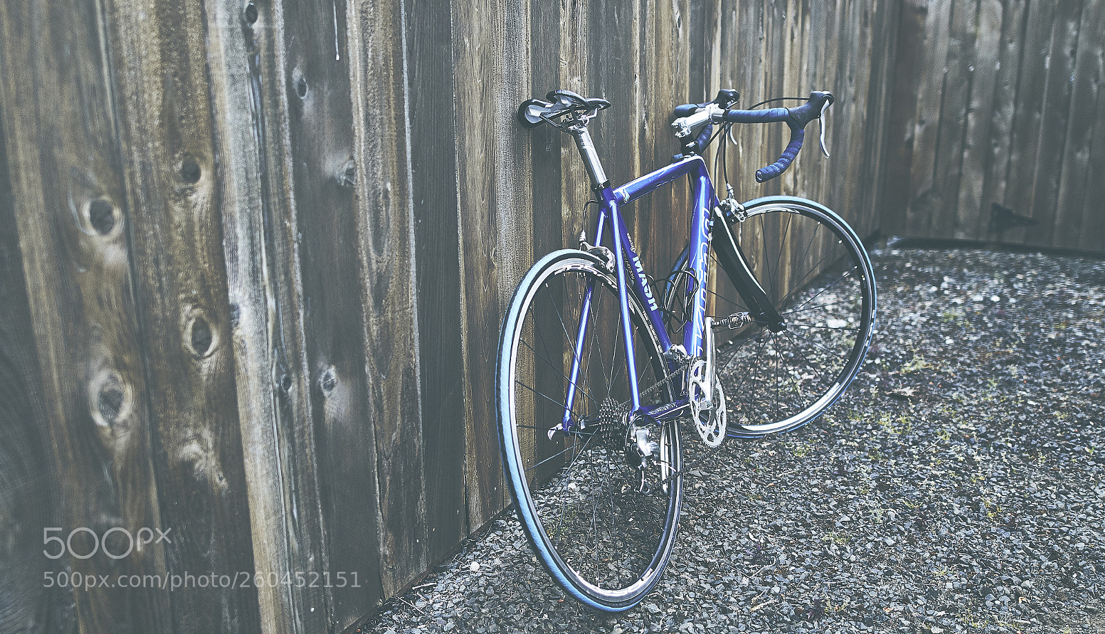 Canon EOS 7D Mark II sample photo. Going for a ride photography
