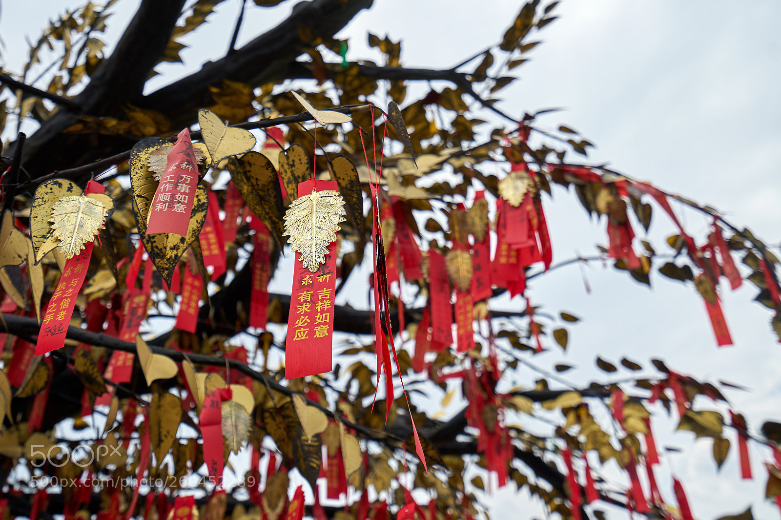 Sony a7 sample photo. Datong photography