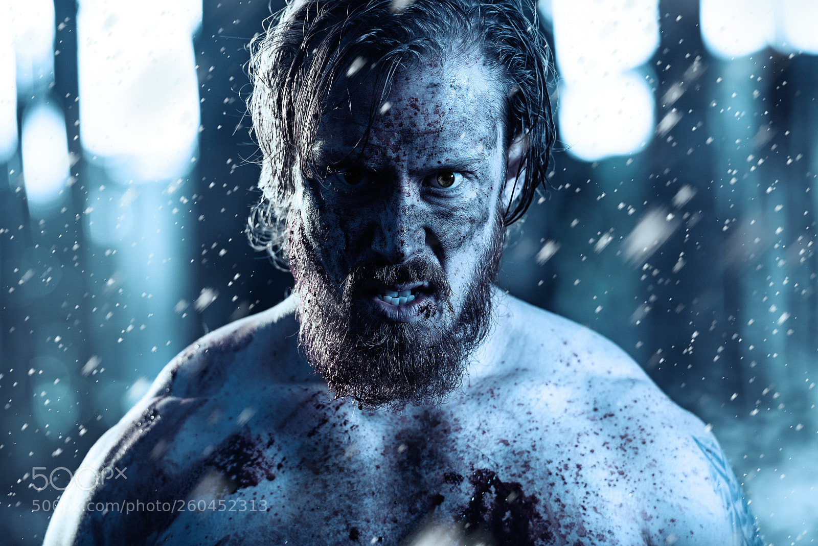 Nikon D750 sample photo. Viking in the snow photography