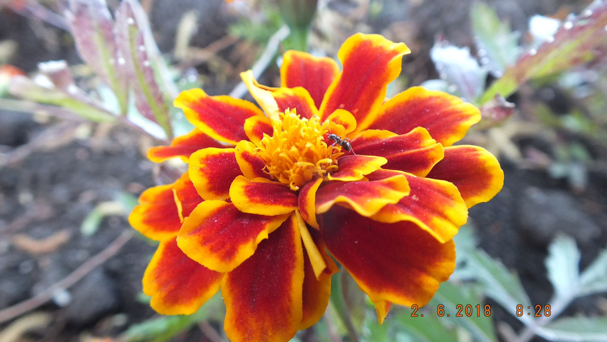 Fujifilm FinePix HS25EXR sample photo. [] photography