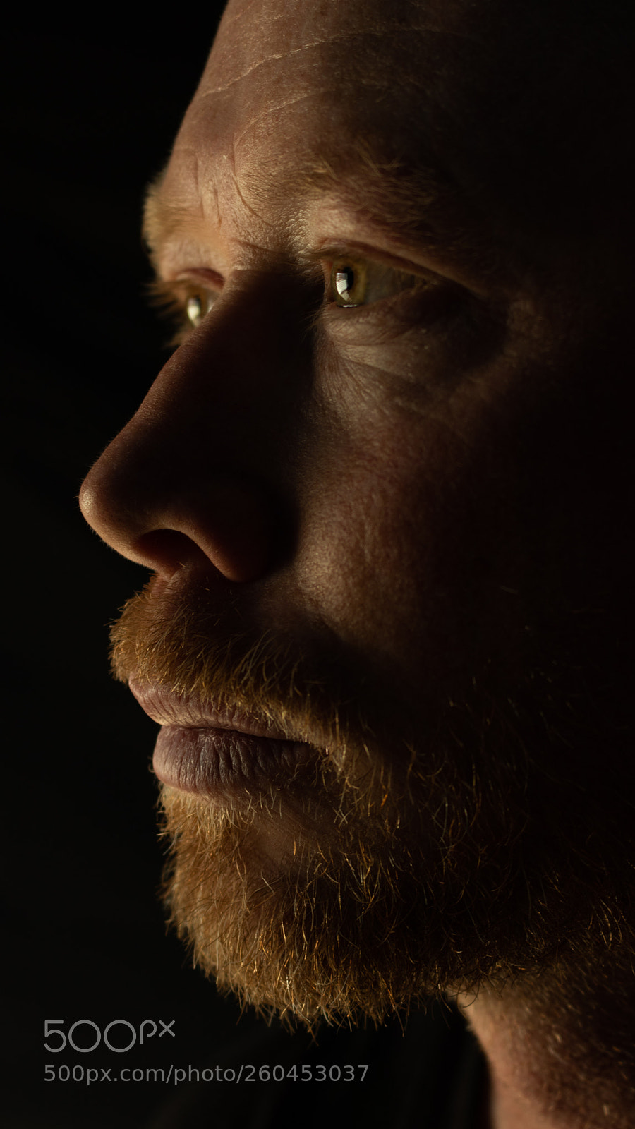 Canon EOS 80D sample photo. Bearded man side profile photography