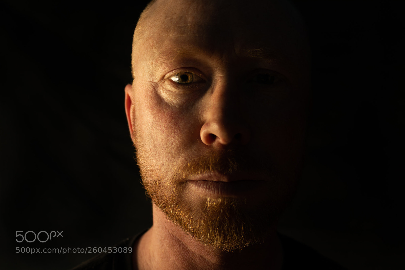 Canon EOS 80D sample photo. Bearded man 3 photography