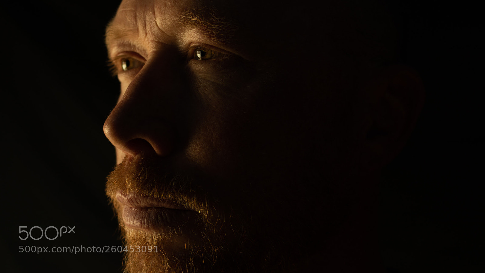 Canon EOS 80D sample photo. Bearded man 2 photography