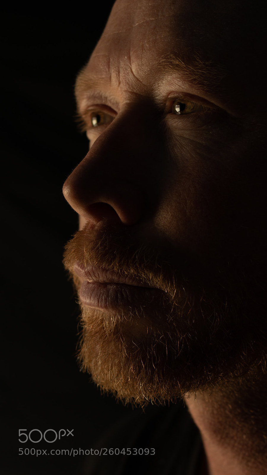 Canon EOS 80D sample photo. Bearded man 1 photography