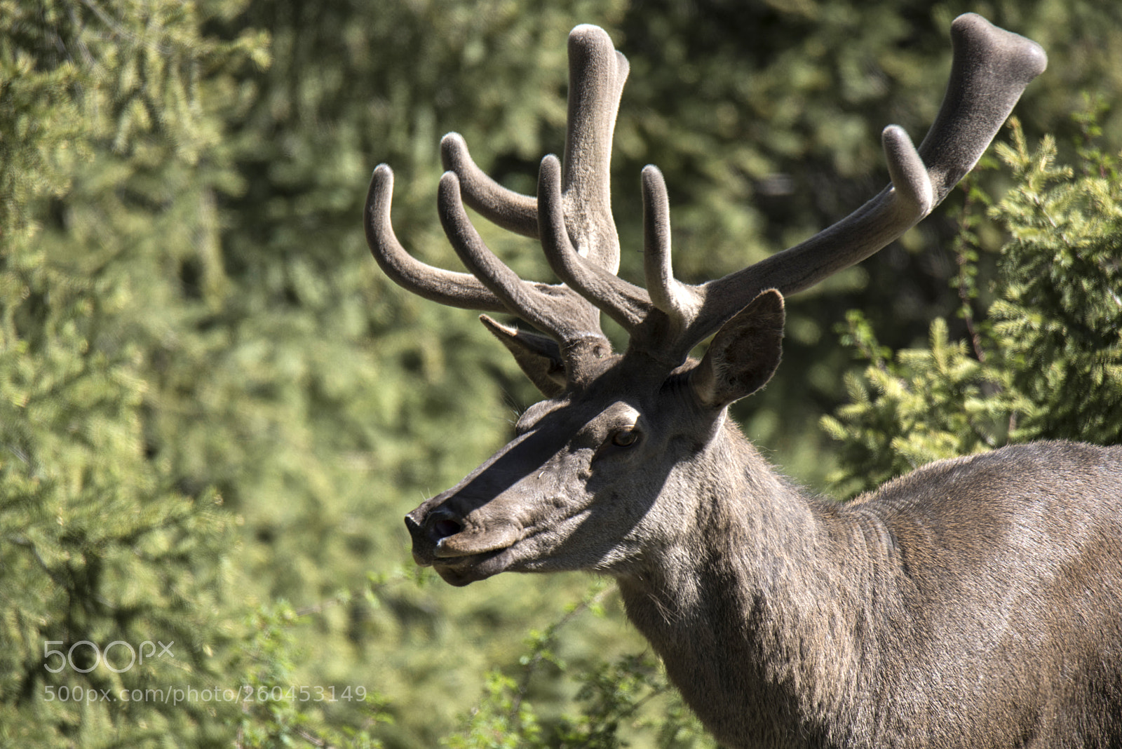 Nikon D810 sample photo. Untitled photography