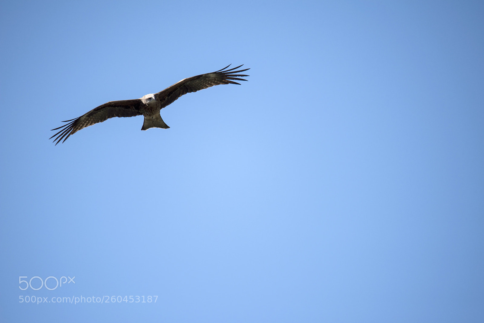Nikon D810 sample photo. Untitled photography