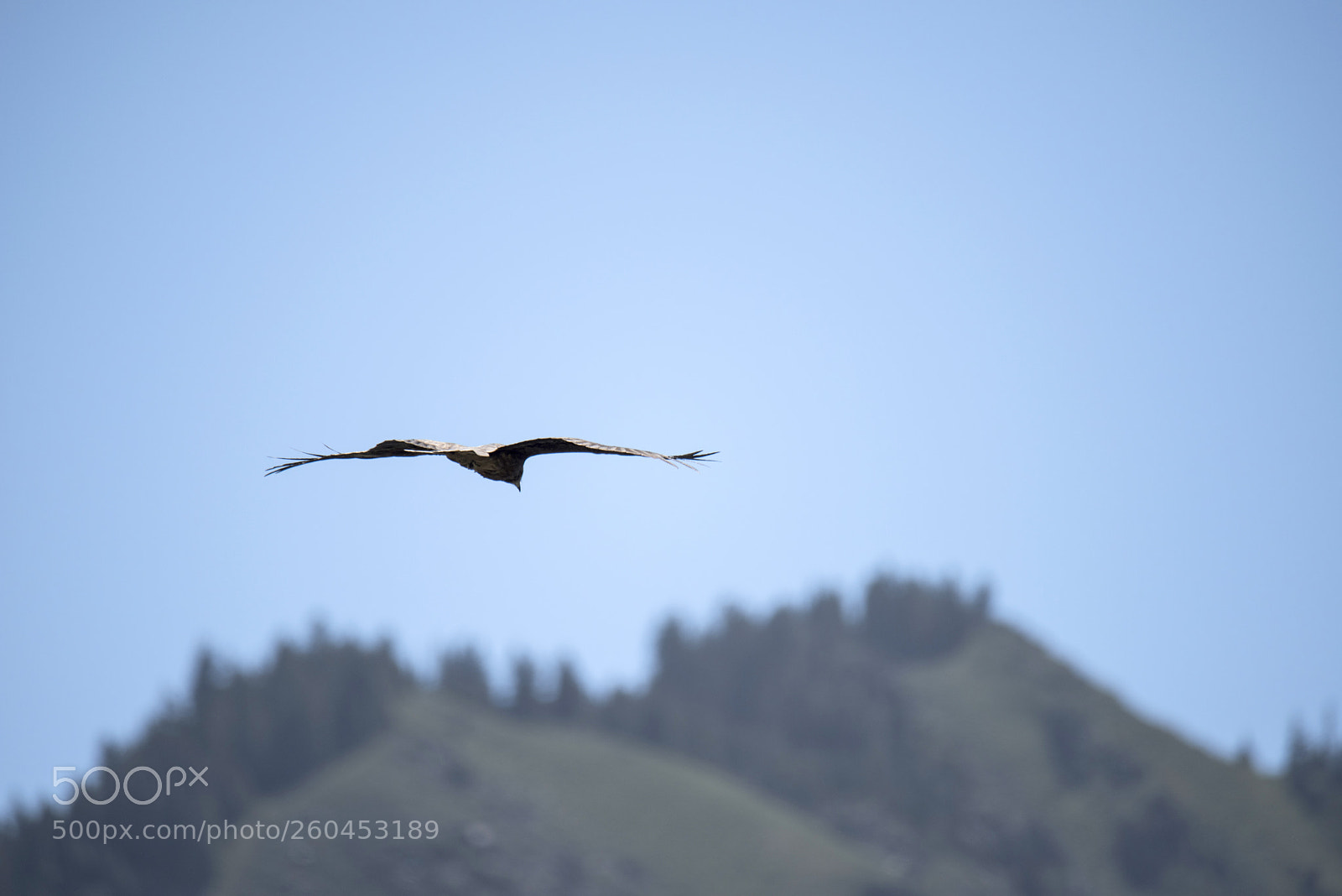 Nikon D810 sample photo. Untitled photography
