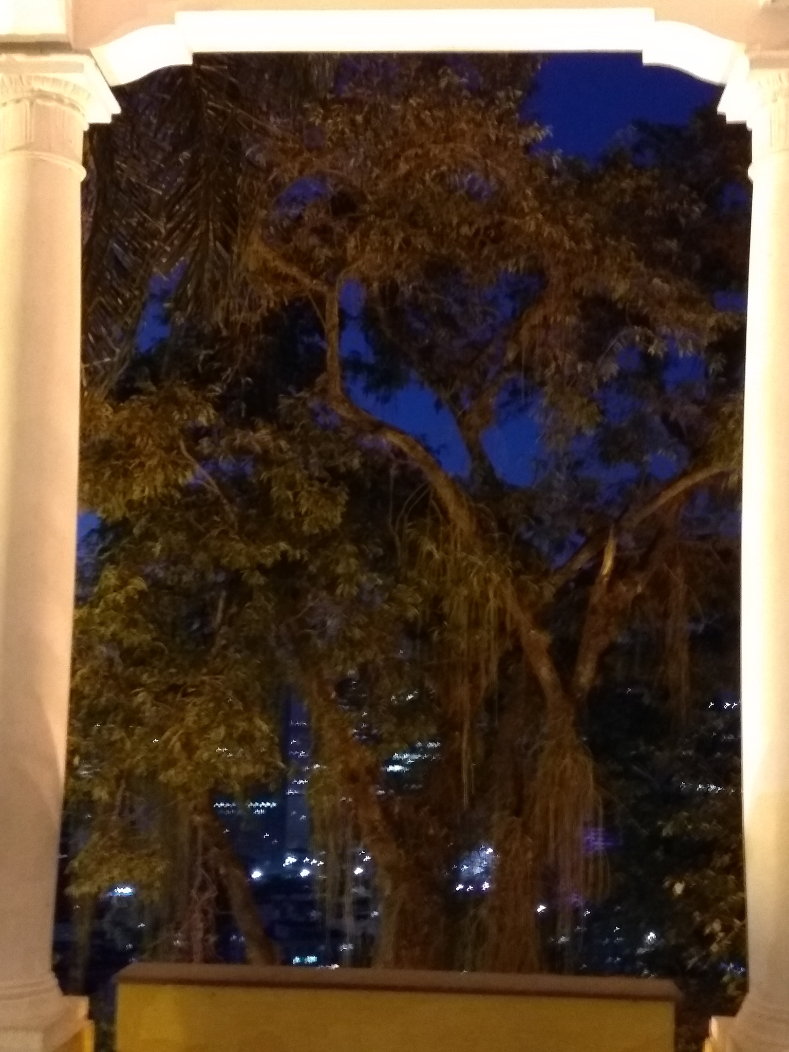 Motorola Moto G (5th Gen) sample photo