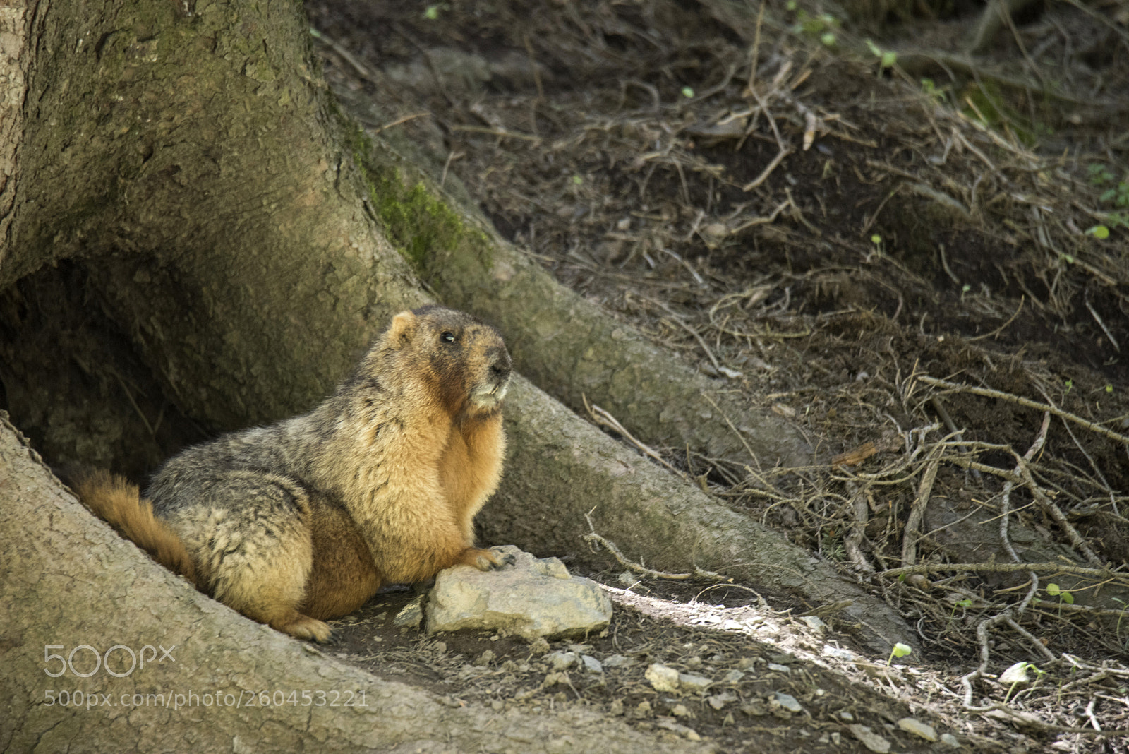 Nikon D810 sample photo. Untitled photography