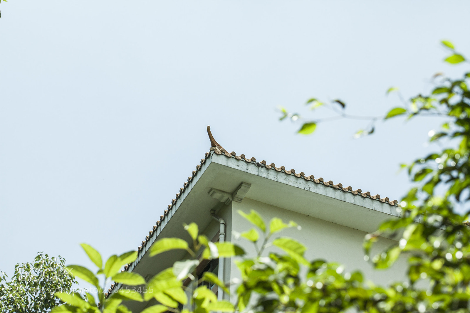 Canon EOS 5D Mark II sample photo. Building and green tree photography