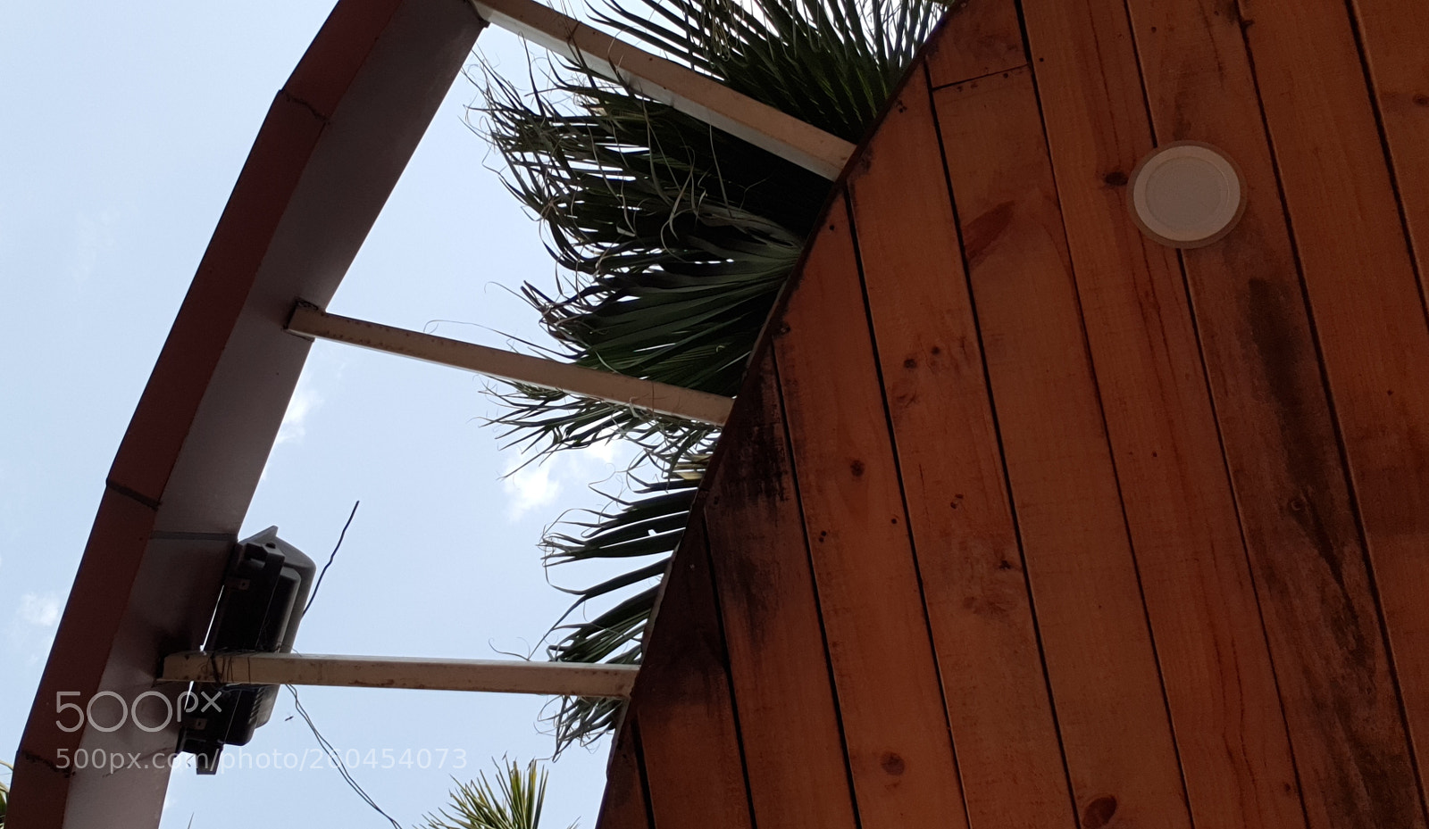Samsung Galaxy S9+ sample photo. Untitled photography
