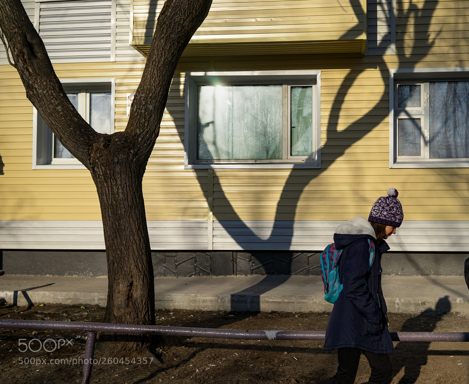 Sony a7 sample photo. Dsc photography