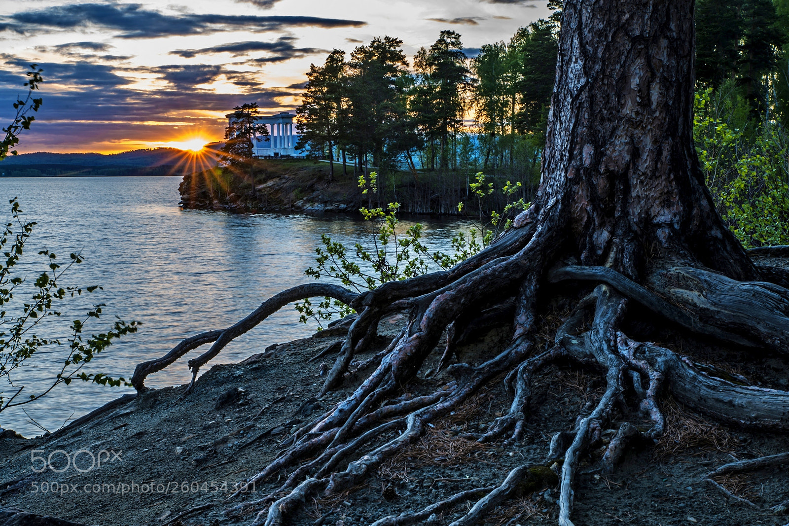 Nikon D800 sample photo. Spring evening at the photography