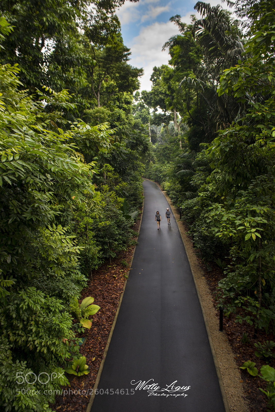 Nikon D800 sample photo. Morning walk photography