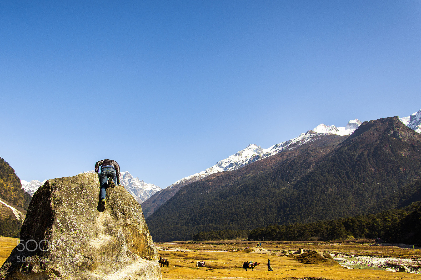 Nikon D7200 sample photo. Vantage point photography