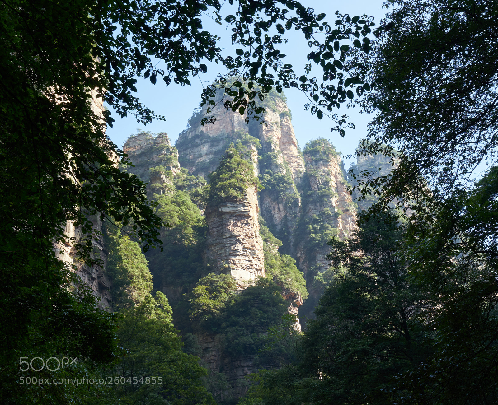 Sony a7 sample photo. Zhangjiajie photography