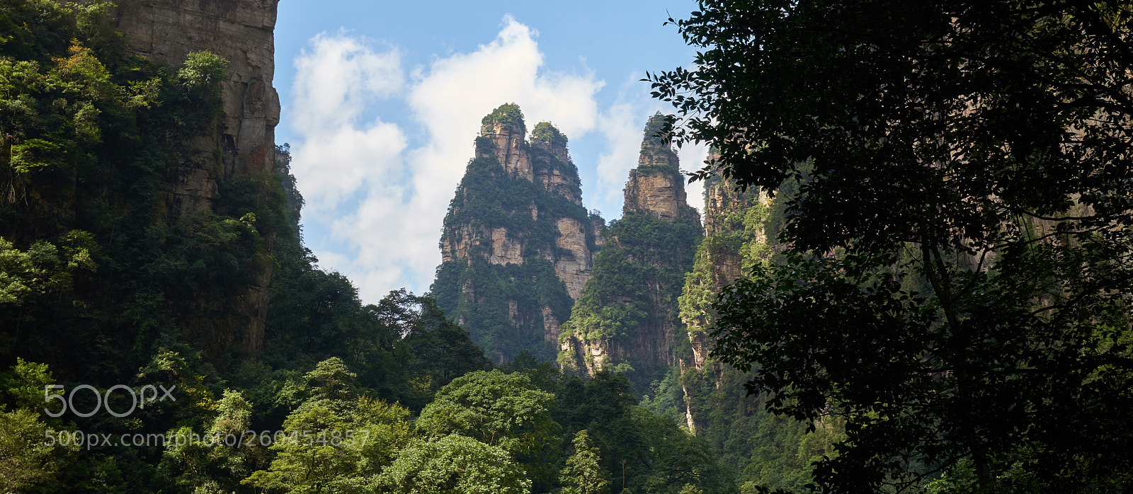Sony a7 sample photo. Zhangjiajie photography