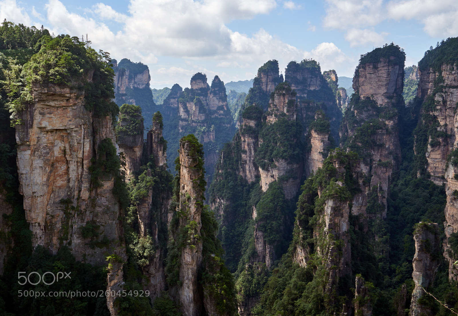 Sony a7 sample photo. Zhangjiajie photography