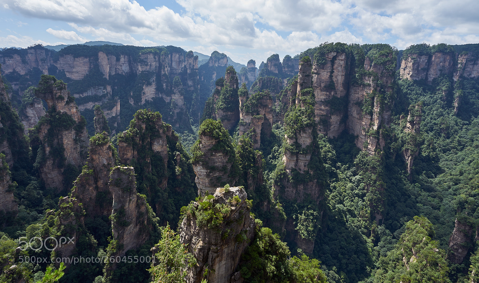 Sony a7 sample photo. Zhangjiajie photography